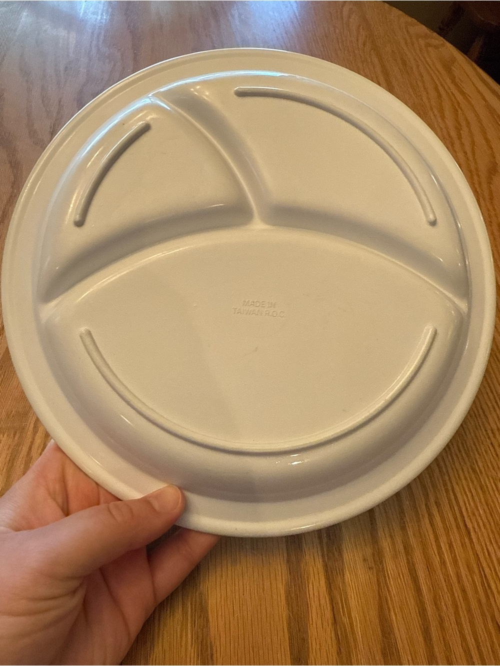 Vintage Dino Divided Kids Plate - Picture 3 of 4